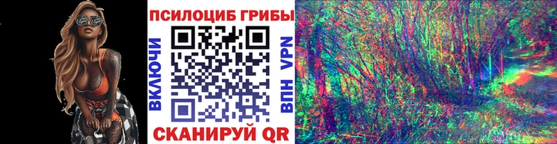 маркетплейс формула купить закладку Пущино Псилоцибиновые грибы мухоморы