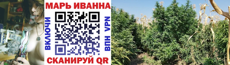 цены   Пущино  Шишки марихуана SATIVA & INDICA 